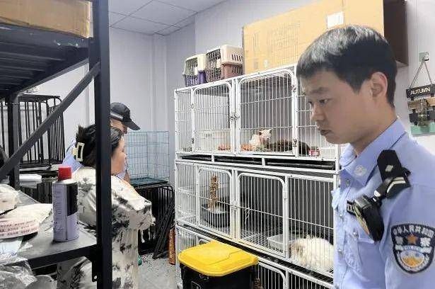 西咸公安多措并举 织密野生动物保护网